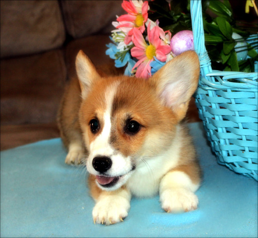 IMG_9440